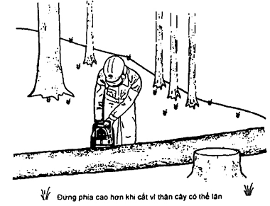 Hình ảnh MATH-0023