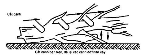 Hình ảnh MATH-0019
