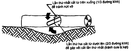 Hình ảnh MATH-0022