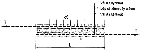 Hình ảnh MATH-0019