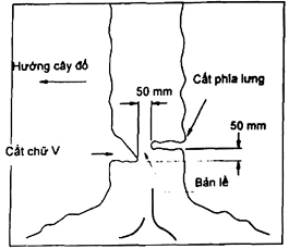 Hình ảnh MATH-0018