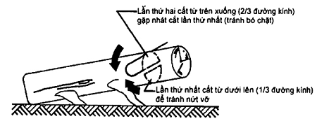 Hình ảnh MATH-0021