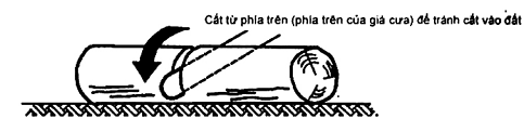 Hình ảnh MATH-0020