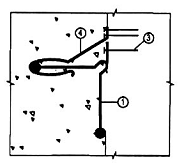 Hình ảnh MATH-0032