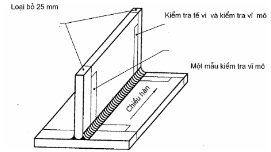 Hình kỹ thuật gốc — trang 10