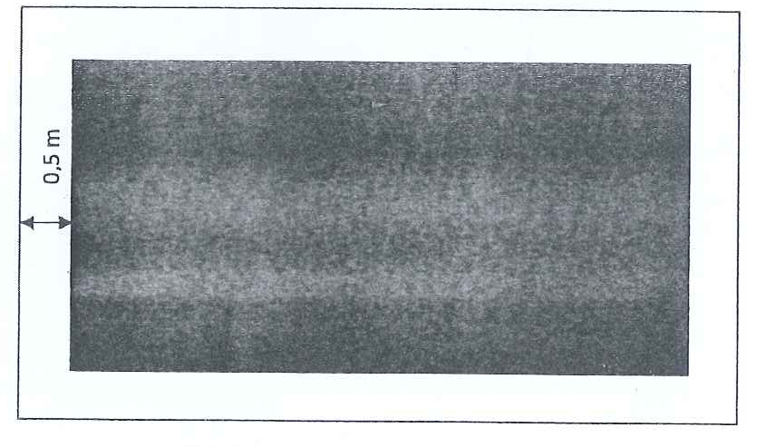 Hình A.3